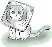 �G���U�x�X�H