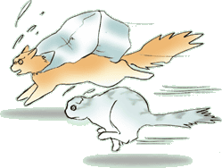 �_�b�V���I