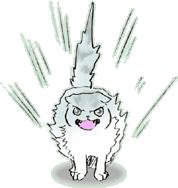 ���f���{��