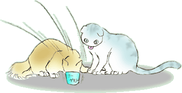 ���G�A����肷��