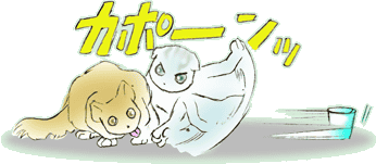 ����܂��Ƃ�