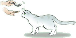 ������胍�f��1