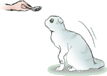 ������胍�f���Q