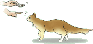 ������胂�G