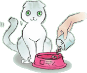 ���f�����H���s�h�l�d