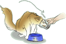 ���G���H���s�h�l�d