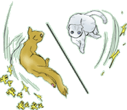 �h���t�g�H