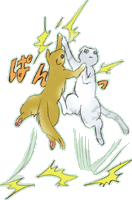 �y�����H