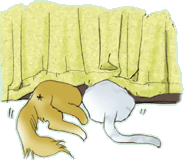 �d�����H