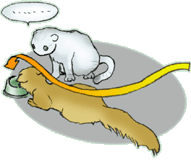 ���G����