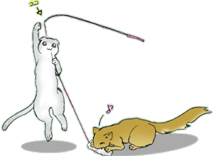 �}�j�A�b�N�H