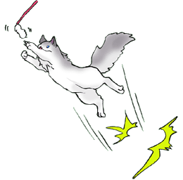 �W�����v