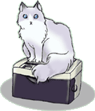 �V�����b�_�[�̏�