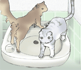 ���f�������G