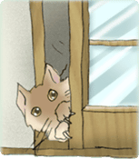 ���G���J����