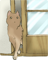 ���G���ɓ���