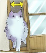 ���l����