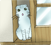 ���f����