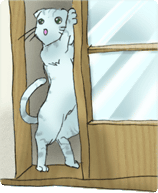 ���f���܂���