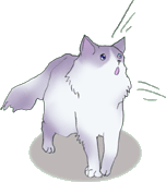 �i���郋�l