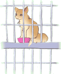 �B�̒��̃��G