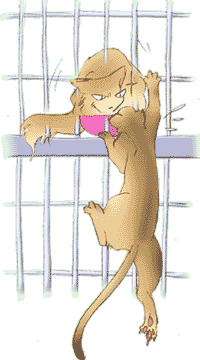 ���S����΂�