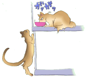 �~�����~����