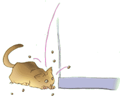 �I����E�E�E