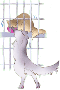 ���l����