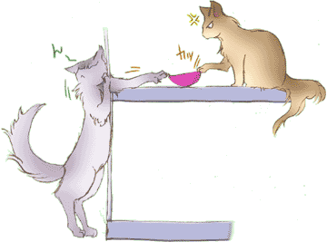 �����猩�Ă݂܂���