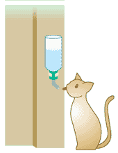 �J���J��