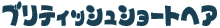�u���e�B�b�V���V���[�g�w�A�̂��Ƃ�����