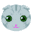 ���f��
