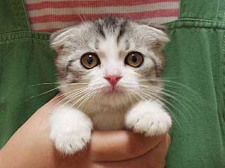 �A�g������