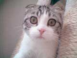 �}��������