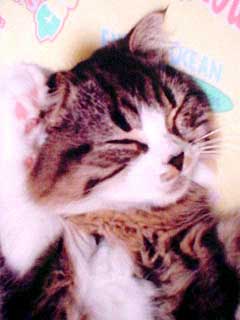 �g�g�������