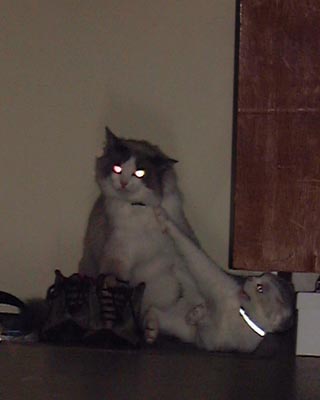 �Èł̎���