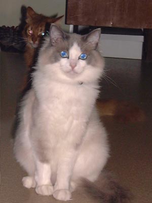 �w��샂�G�@�Ă�