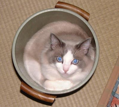 �ォ�猩�Ă݂܂���
