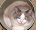 �ォ�猩�Ă݂܂���