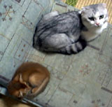 �ォ�猩�Ă݂܂���
