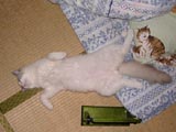 ���`