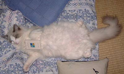 ���̂܂ܐQ��