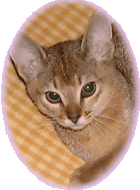 Kotetsu