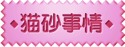 猫砂事情