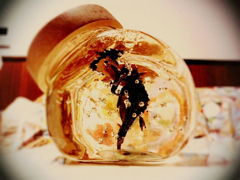 lento_1105256_02.jpg